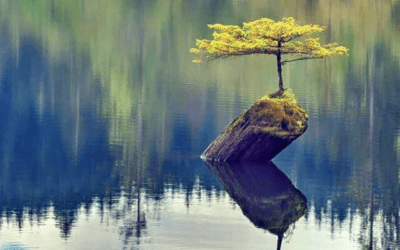 SOS: Leader Alert! Mindfulness and Resilience are Essential to Your Thriving (Not Just Surviving)